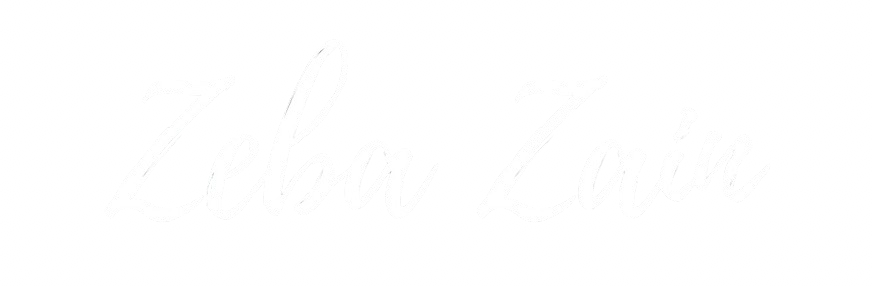 zebaazain.com